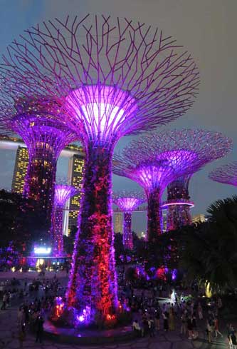 The Supertrees light show
