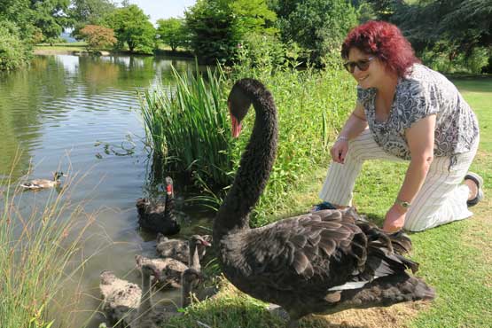 Karen with the swans