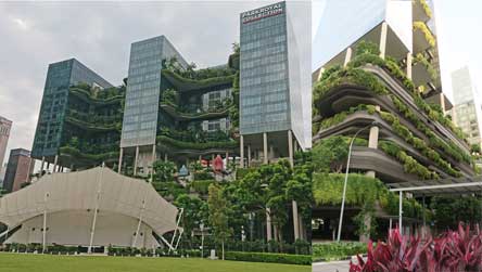 Trees on balconies of hotel
