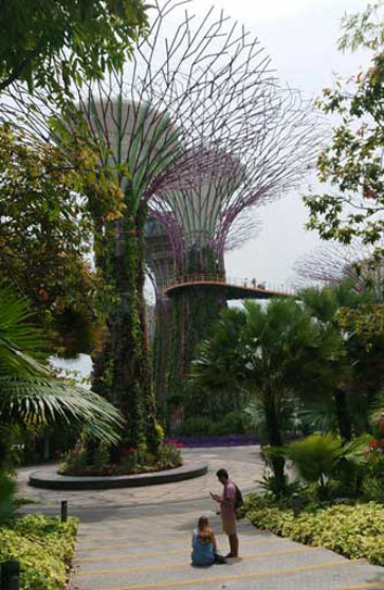 Marina Bay Gardens Supertrees