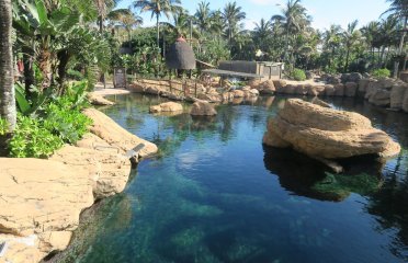 Durban