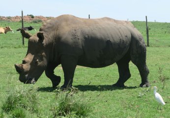 Tala Game Reserve