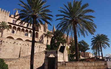 Palma