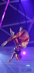 Triboo show