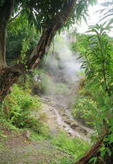 Sulphur Springs