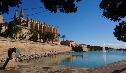 Palma