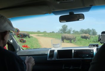 Tala Game Reserve